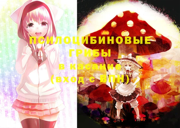 спиды Верея