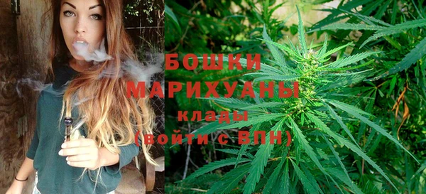 спиды Верея